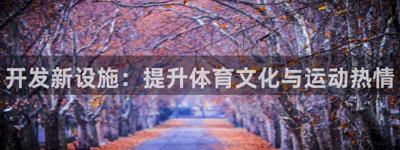 意昂体育4：开发新设施：提升体育文化与运动热情