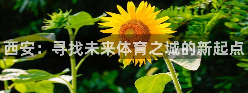 意昂体育4招商电话是多少号码：西安：寻找未来体育之城
