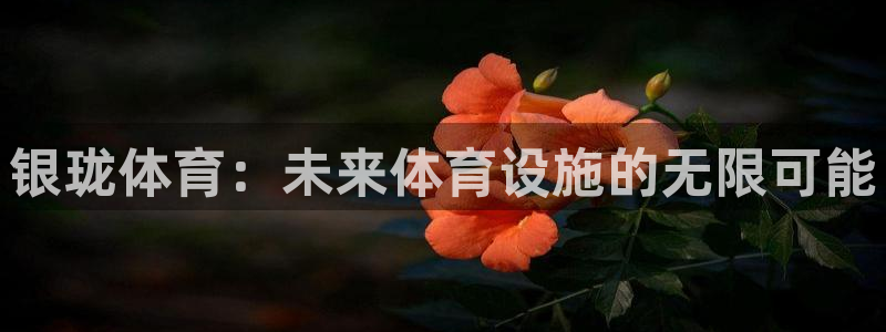 意昂体育4平台注册流程图：银珑体育：未来体育设施的无