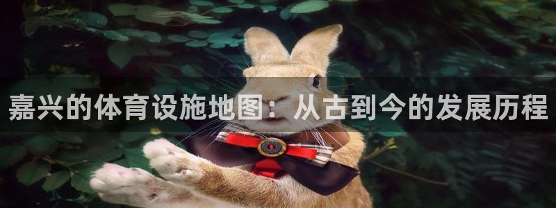 意昂4集团简介：嘉兴的体育设施地图：从古到今的发展历