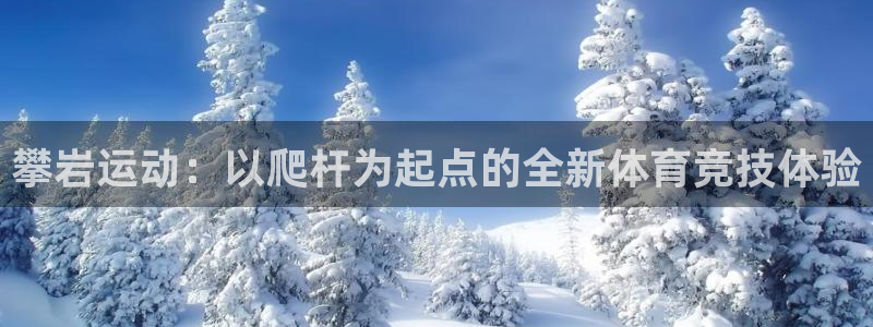 海南意昂体育4发展怎么样：攀岩运动：以爬杆为起点的全