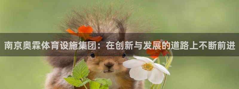 意昂4科技：南京奥霖体育设施集团：在创新与发展的道路上不断前
