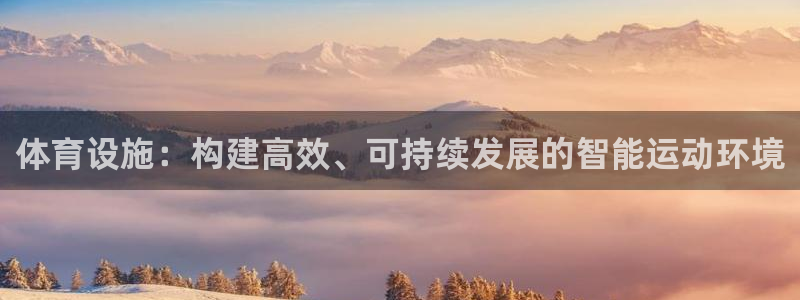 意昂体育4软件：体育设施：构建高效、可持续发展的智能