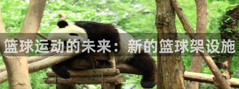 意昂体育4平台注册流程图：篮球运动的未来：新的篮球架