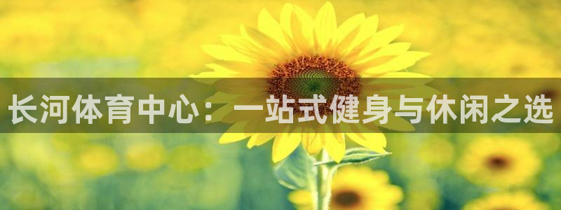 意昂体育4平台APP：长河体育中心：一站式健身与休闲之选