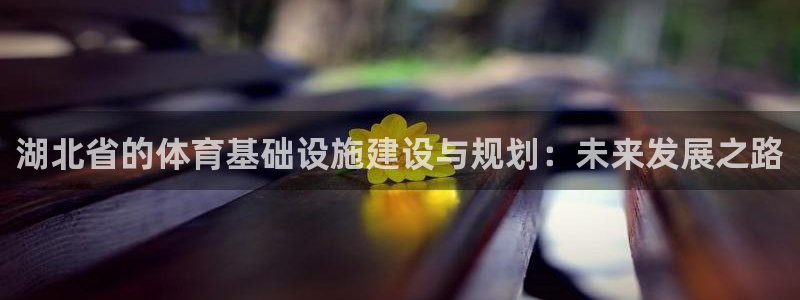 意昂体育4招商电话地址：湖北省的体育基础设施建设与规