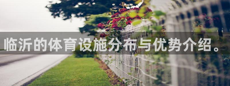 意昂4娱乐首页官网下载：临沂的体育设施分布与优势介绍