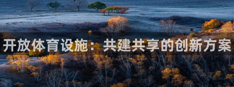 意昂集团官网：开放体育设施：共建共享的创新方案